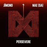Artwork for "Persevere"