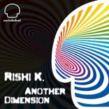 Artwork voor "Another Dimension"
