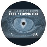 Artwork voor "Feel/Loving You"