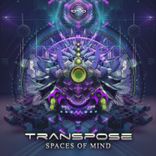 Spaces of Mind