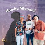 Artwork for "Hamba Mtanami"