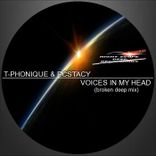 Portada para "Voices In My Mind"