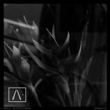 Artwork for "Invented Enemies"