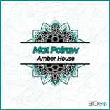 Artwork für "Amber House"
