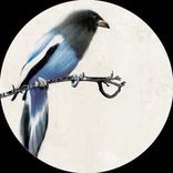 Artwork für "Isolated"