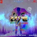 Artwork for "Life: Goes Up and Down"