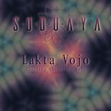 Artwork for "Lakta Vojo"