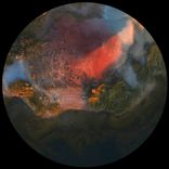 Artwork voor "Root Regenerator 004 EP"