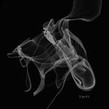 Vector Physical Magnitudes