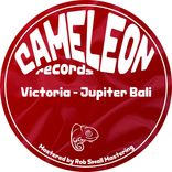 Artwork for "Jupiter Bali"