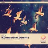 Nothing Special (Extended Neava Remix)