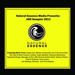 Artwork for "Natural Essence Media Presents: ADE Sampler 2013"