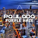 Artwork voor "Purple Haze"