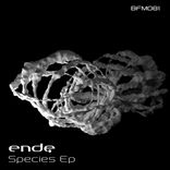 Symmetrical Structure