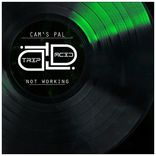 Artwork voor "Not Working"