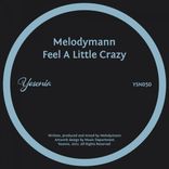 Artwork for "Feel A Little Crazy"