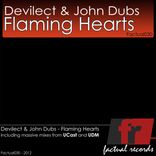 Artwork voor "Flaming Hearts"