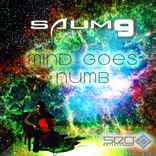 Portada para "Mind Goes Numb"