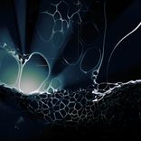 The Haunted Victorian Pencil