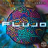 Artwork voor "Flujo"