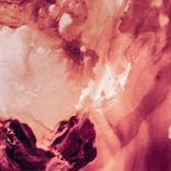 Portada para "Dawn Violet"