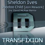 Portada para "Voodoo Child"