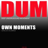 Artwork for "Own Moments"