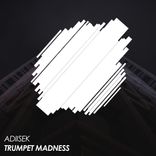 Artwork for "Trumpet Madness"