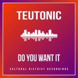 Artwork for "Do You Want It"