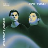 Artwork for "I Can’t Forget"