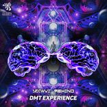 Portada para "DMT Experience"