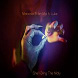 Artwork for "She'll Bring The Molly"