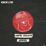 Portada para "Ramo De Rosas"