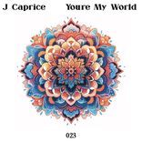 Artwork für "You're My World"