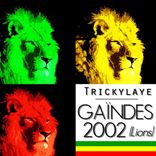 Artwork voor "Gaindes 2002 (Lions of Senegal)"