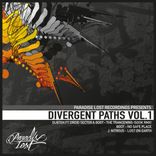 Artwork for "Divergent Paths Vol.1"