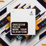 Artwork für "Work Your Elevation"