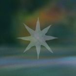 Artwork für "Persica Blossoms"