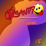 Artwork für "Insanity (Label Artist Megamix)"