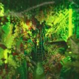 Portada para "The Year of the Jellyfish Remixes"