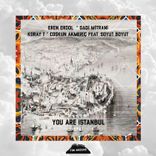 Artwork for "You Are Istanbul #1"
