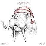 Artwork for "Zalt EP"