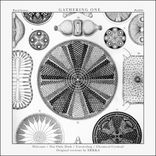 Artwork voor "Gathering One"