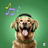 Artwork voor "Happy Paws"