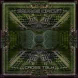 Artwork for "Cross Talk"