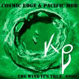 Artwork voor "The Wind It's True"