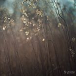 Artwork for "Stories From Sa Talaia, Chapter II"