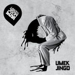 Portada para "Jingo"