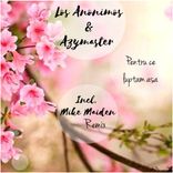 Artwork for "Pentru Ce Luptam Asa"