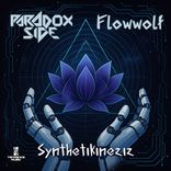 Artwork for "Synthetikineziz"